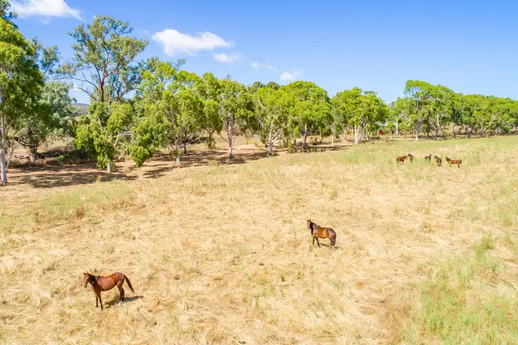 Third view of Homely rural property listing, 73 Tallarook Road, Cowra NSW 2794