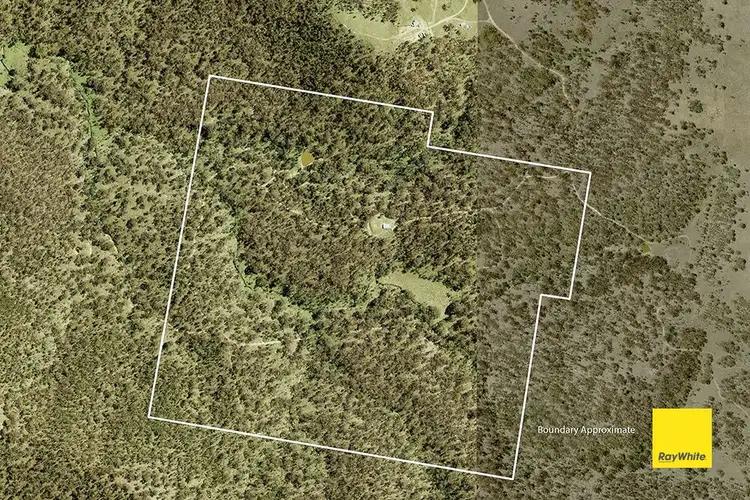Fourth view of Homely rural property listing, 3/250 Spring Creek Road, Bungendore NSW 2621