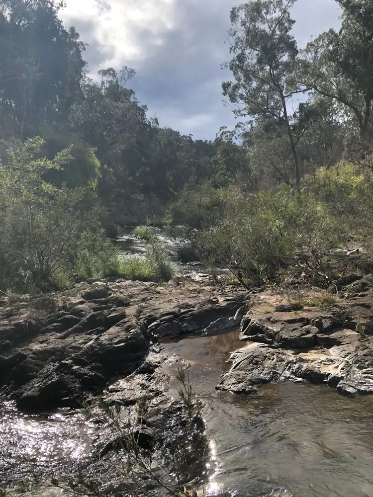Lot72 DP752847 Tyringham Road, Tyringham, Dorrigo NSW 2453