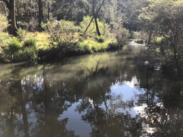 Sixth view of Homely rural property listing, Lot72 DP752847 Tyringham Road, Tyringham, Dorrigo NSW 2453