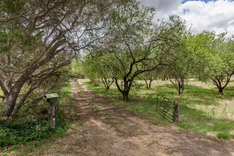 Fifth view of Homely rural property listing, 25 Manse Road, Strathalbyn SA 5255