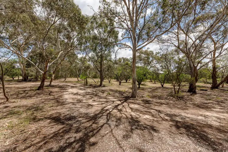 Sixth view of Homely rural property listing, 25 Manse Road, Strathalbyn SA 5255