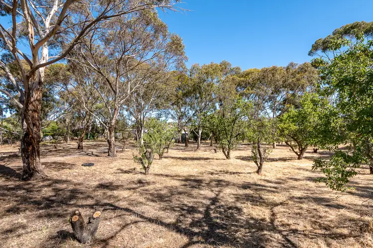 Seventh view of Homely rural property listing, 25 Manse Road, Strathalbyn SA 5255