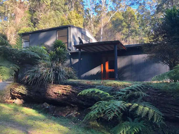 Second view of Homely rural property listing, 585 Schultz Road, Billys Creek, Dorrigo NSW 2453