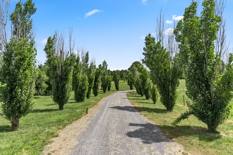 Fifth view of Homely house listing, 12 River Avenue, Yass NSW 2582