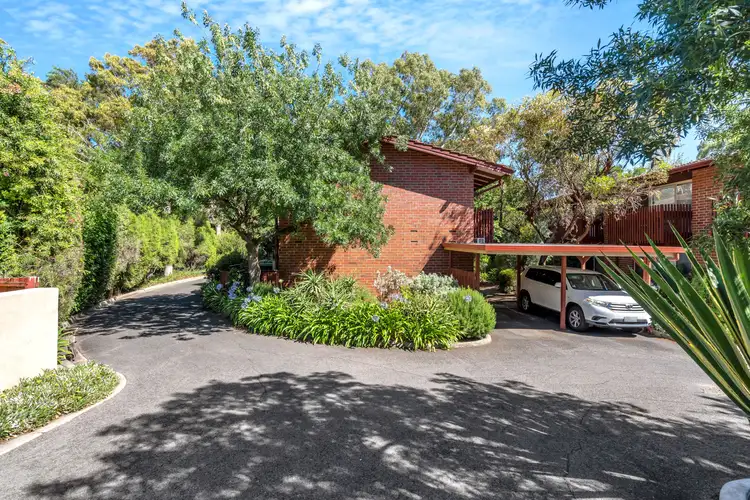 13/36 Trevelyan Street, Wayville SA 5034