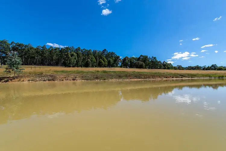 Third view of Homely rural property listing, Lot 9 Buckley Road, Nannup WA 6275