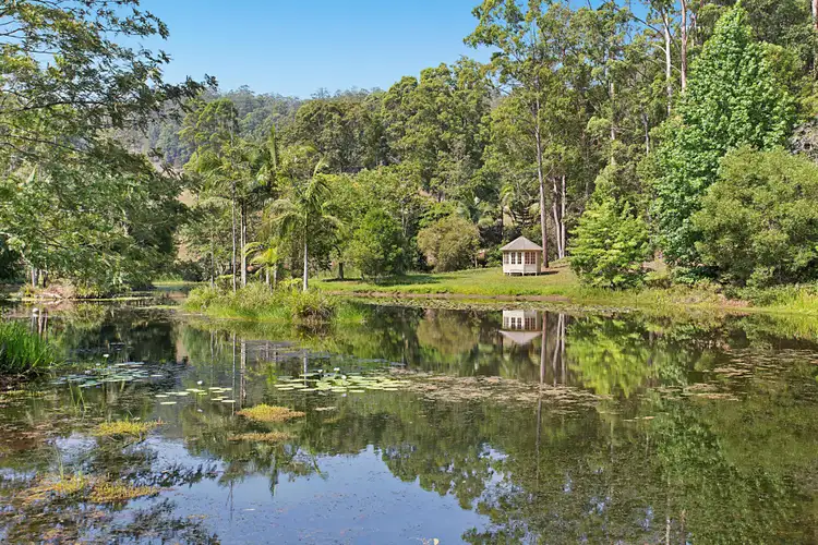 Sixth view of Homely rural property listing, 351 Zara Road, Zara NSW 2484