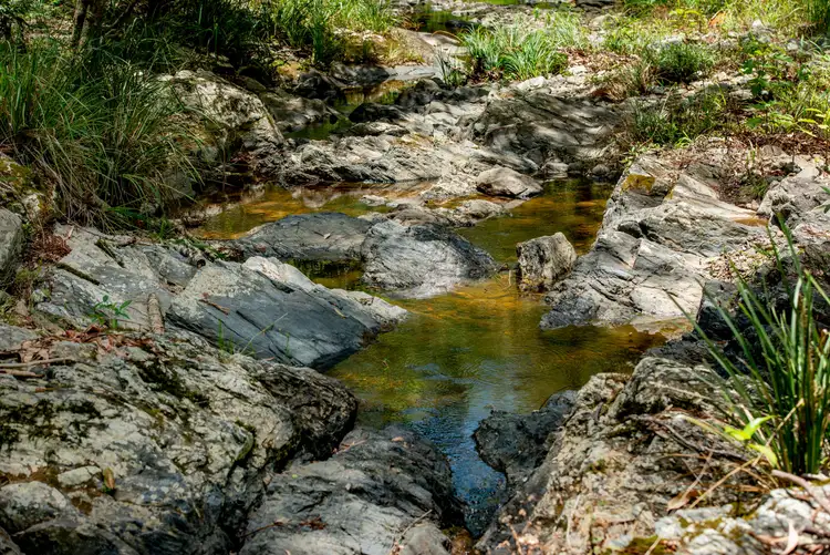 Seventh view of Homely rural property listing, 75 Bass Road, Campbells Pocket QLD 4521