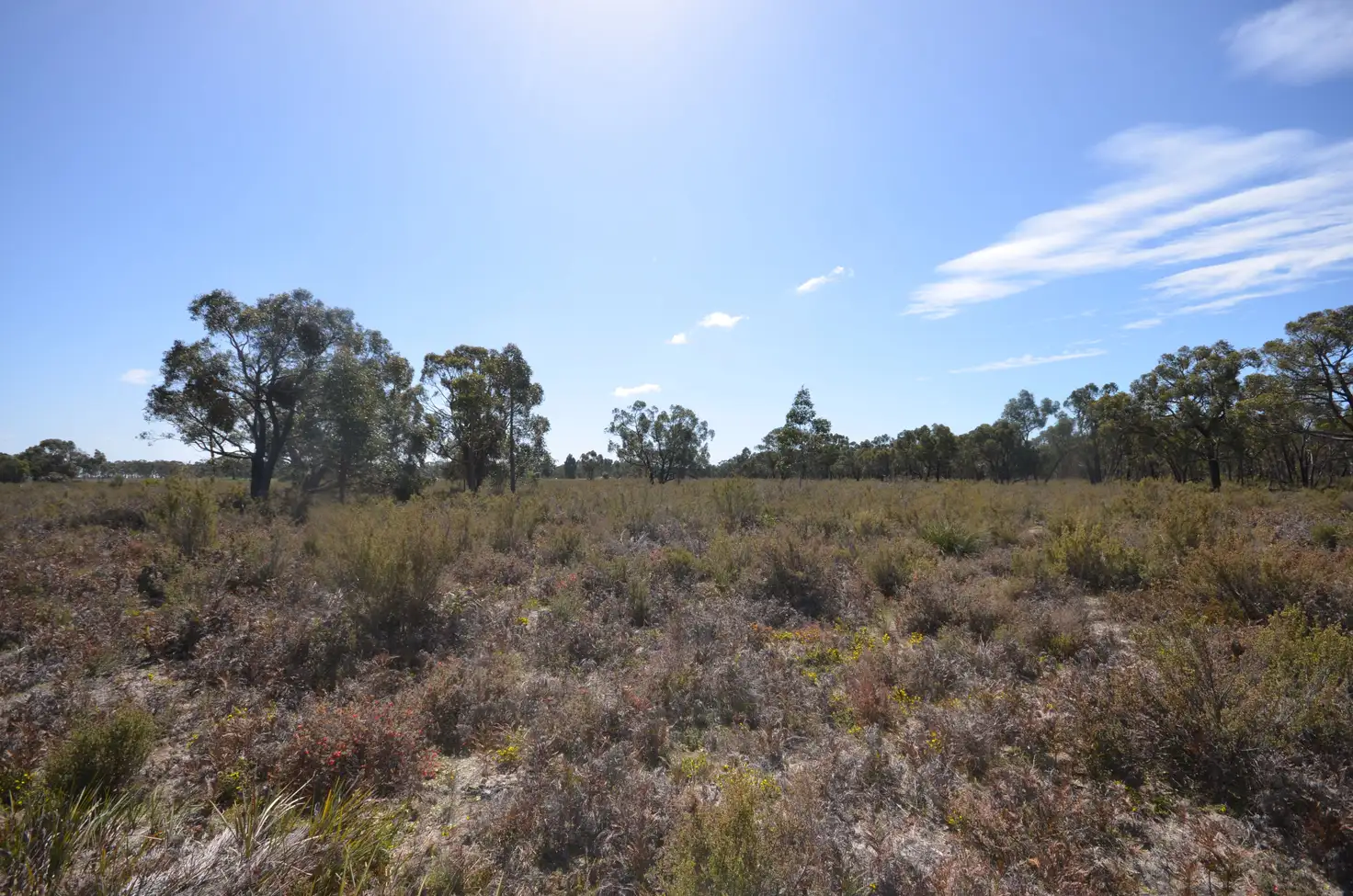 Main view of Homely rural property listing, Lot 28 Patricias Road, Edenhope VIC 3318