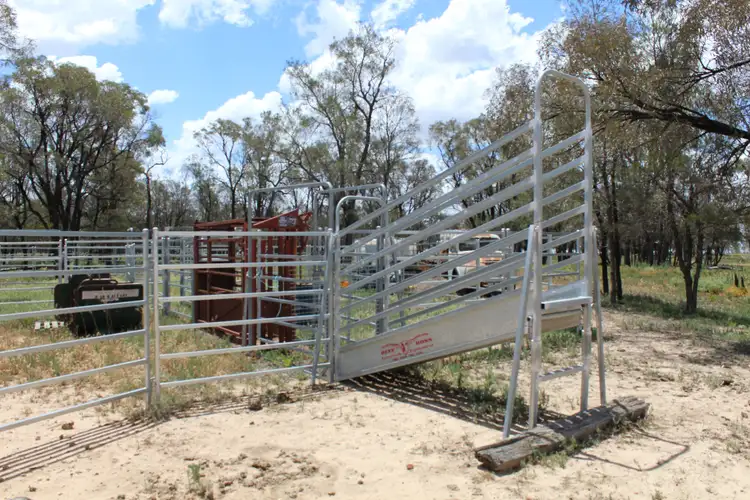 Main view of Homely rural property listing, 30224 Cunningham Highway, Yelarbon QLD 4388