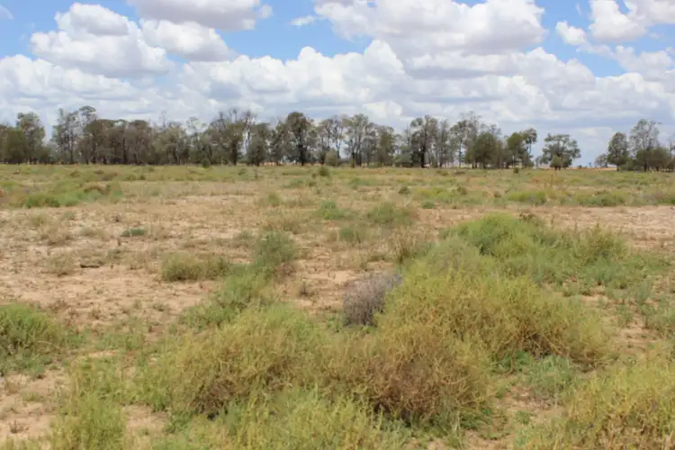 Fourth view of Homely rural property listing, 30224 Cunningham Highway, Yelarbon QLD 4388