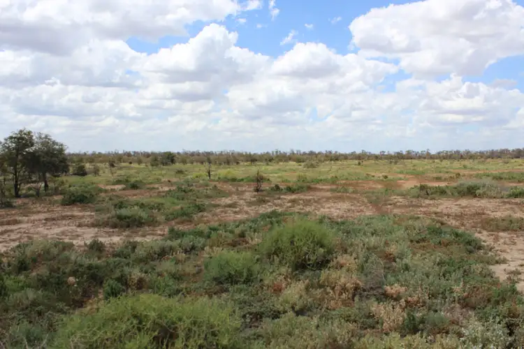 Sixth view of Homely rural property listing, 30224 Cunningham Highway, Yelarbon QLD 4388