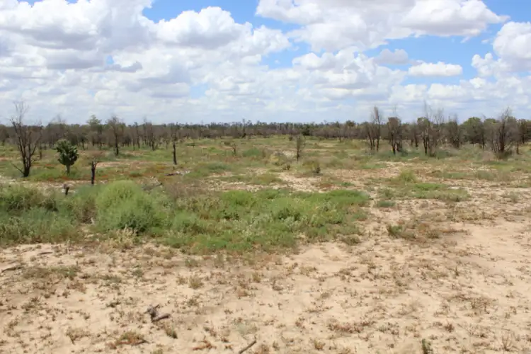 Seventh view of Homely rural property listing, 30224 Cunningham Highway, Yelarbon QLD 4388