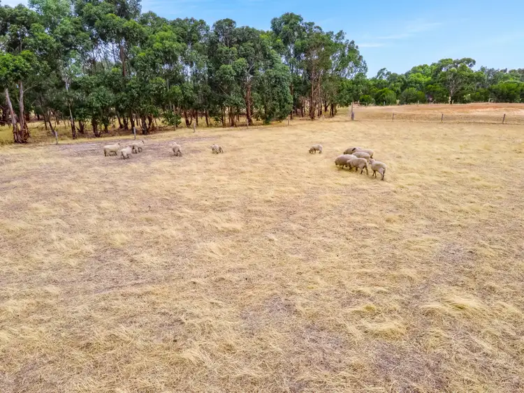 Sixth view of Homely land listing, Lot 313 Wellington Road, Currency Creek SA 5214
