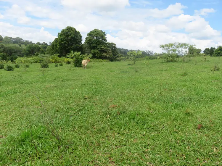 Fourth view of Homely rural property listing, Address available on request
