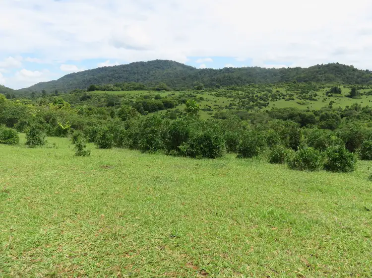 Sixth view of Homely rural property listing, Address available on request