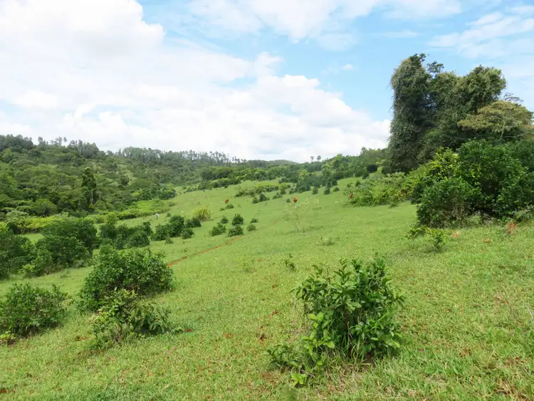 Seventh view of Homely rural property listing, Address available on request