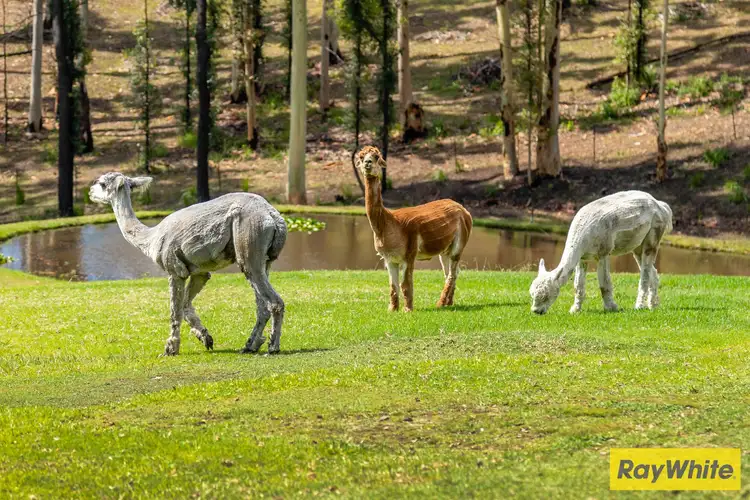 Fifth view of Homely house listing, 236 Burri Road, Malua Bay NSW 2536