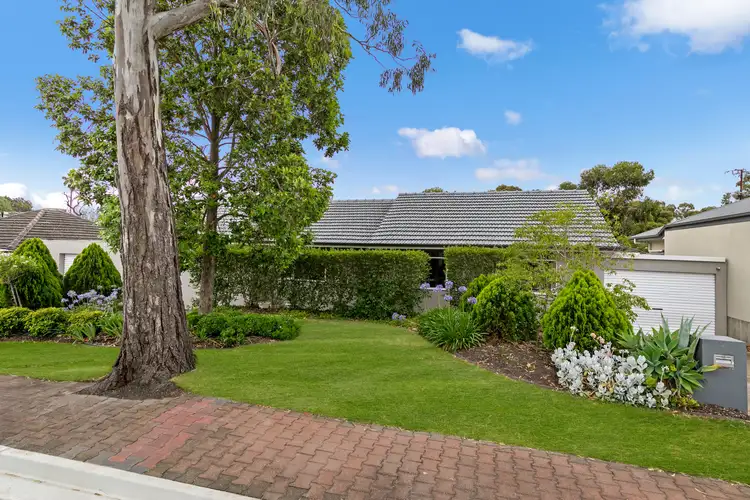 Main view of Homely house listing, 1 Glenside Street, Surrey Downs SA 5126