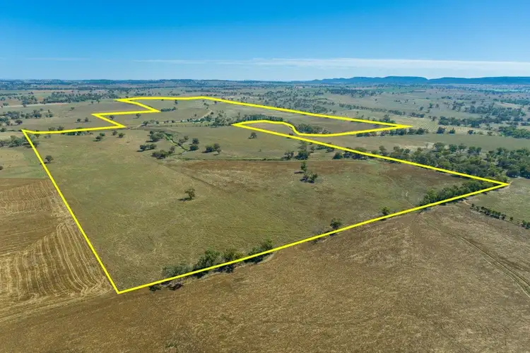 Fourth view of Homely rural property listing, 604 Blatches Lane, Bournewood NSW 2868