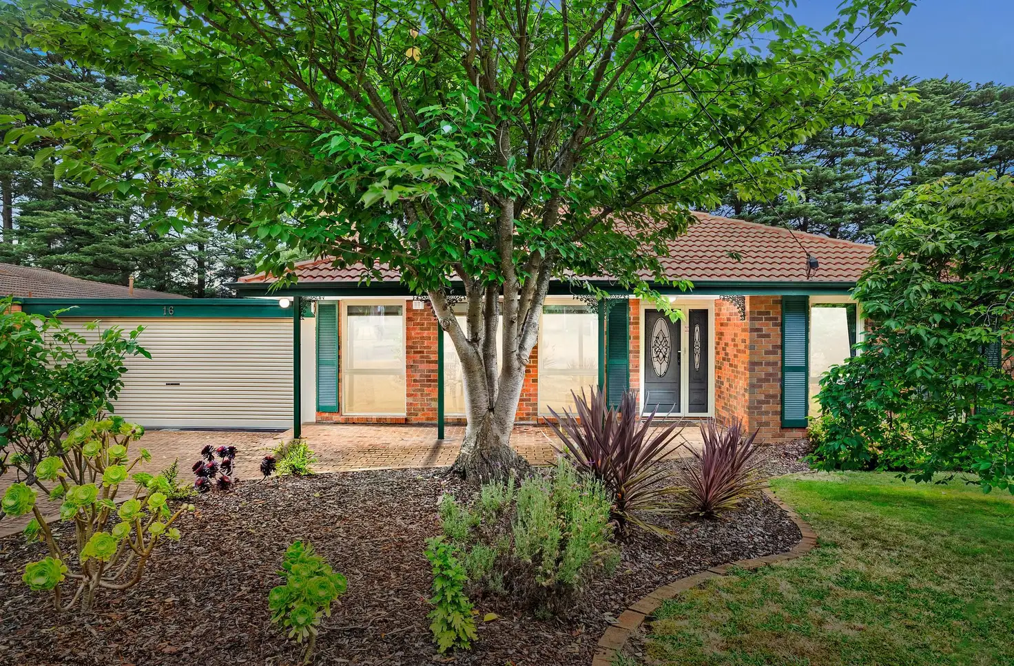 Main view of Homely house listing, 16 Webster Avenue, Croydon VIC 3136
