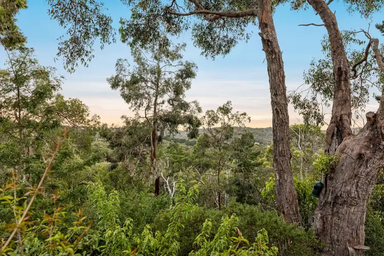 Third view of Homely house listing, 19 Wychwood Grove, Upper Sturt SA 5156