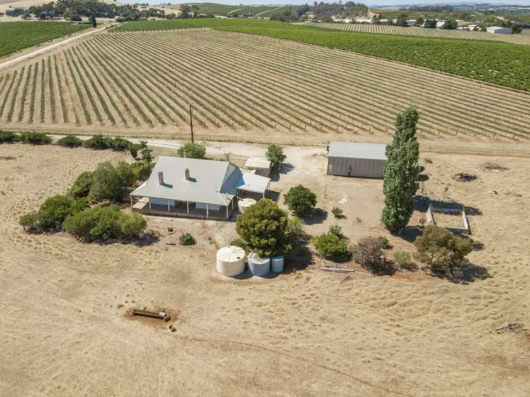 Main view of Homely house listing, 138 Springvale Road, Watervale SA 5452