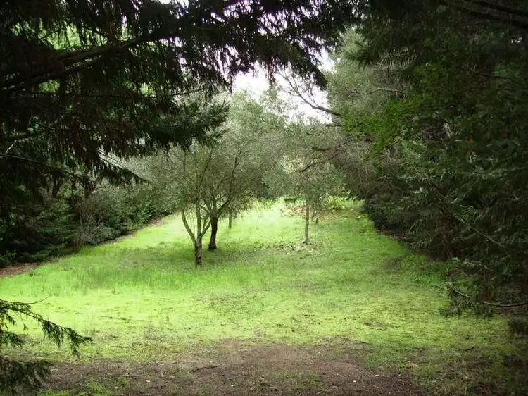 Third view of Homely land listing, 18 Illalong Court, Tootgarook VIC 3941