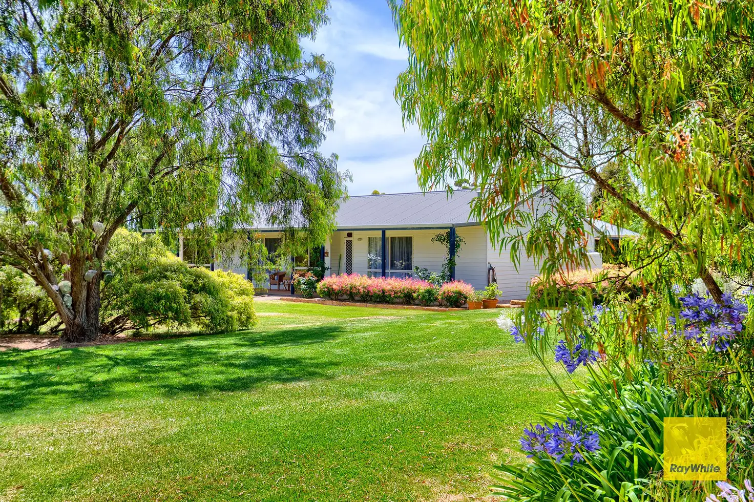 Main view of Homely house listing, 31 Silverstar Court, Millbrook WA 6330