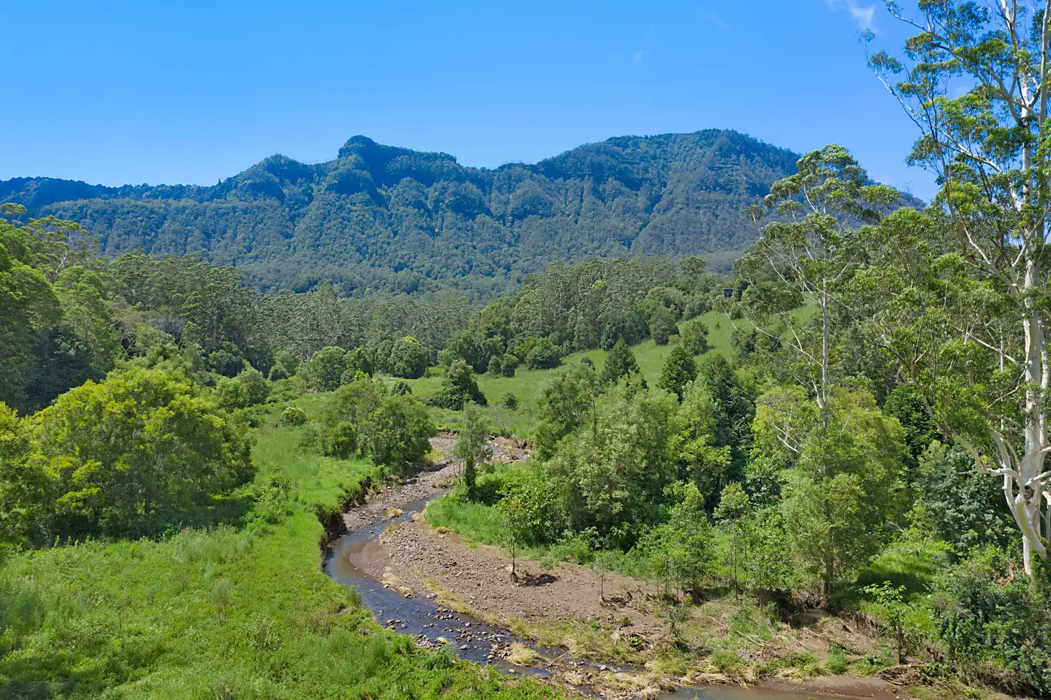 Main view of Homely rural property listing, 215 Mount Burrell Road, Mount Burrell NSW 2484