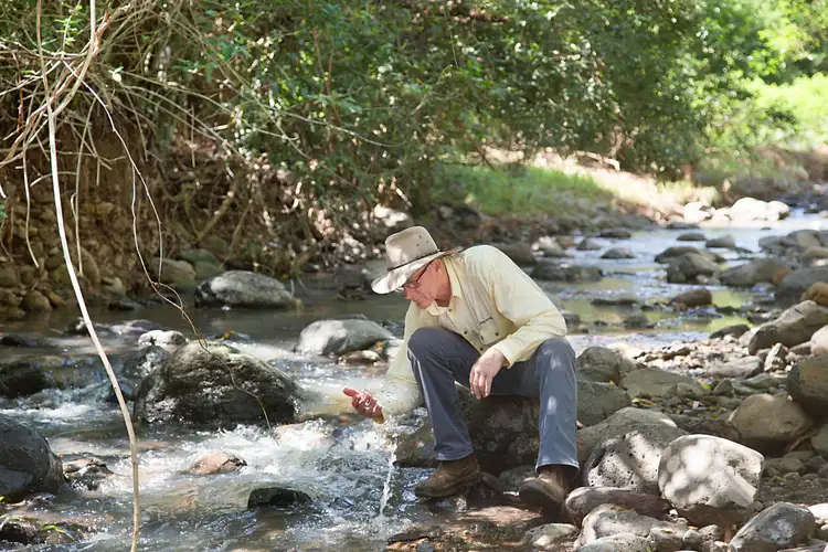 Second view of Homely rural property listing, 215 Mount Burrell Road, Mount Burrell NSW 2484