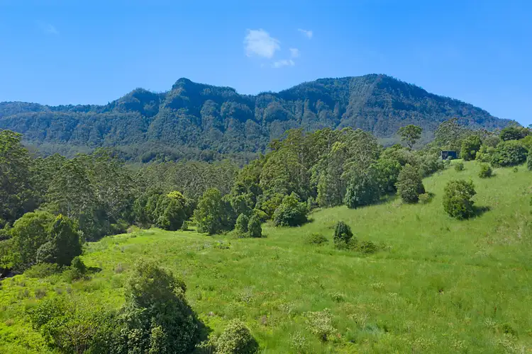 Third view of Homely rural property listing, 215 Mount Burrell Road, Mount Burrell NSW 2484