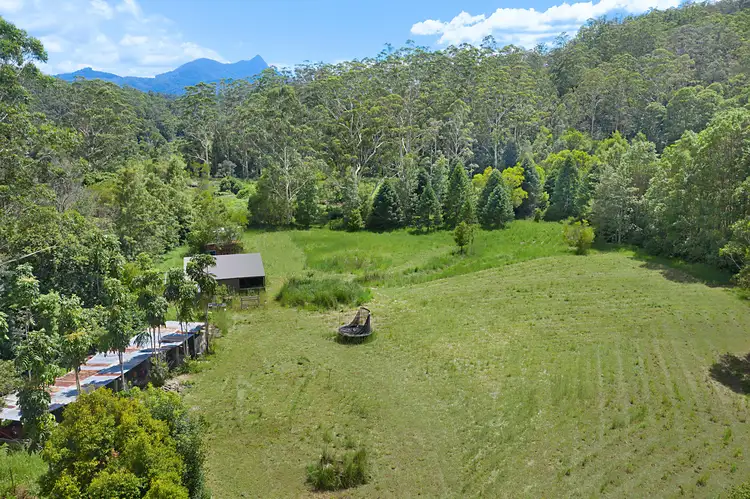 Sixth view of Homely rural property listing, 215 Mount Burrell Road, Mount Burrell NSW 2484