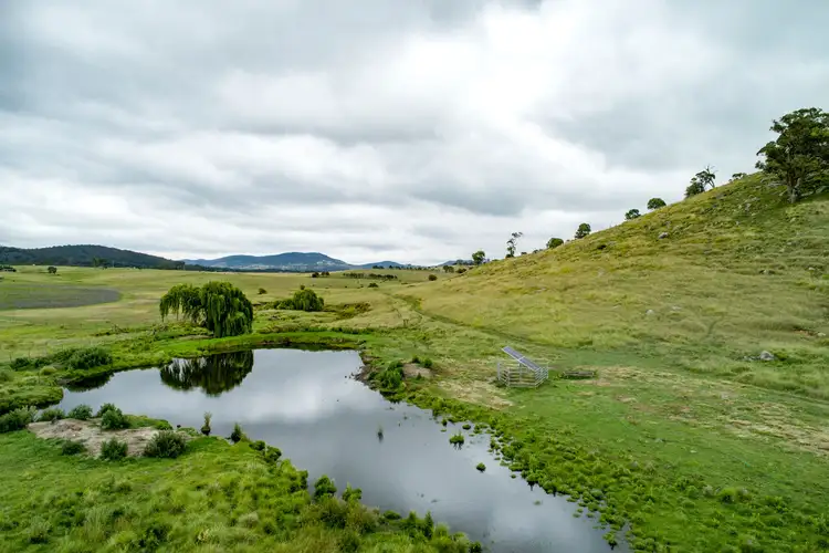 Fifth view of Homely rural property listing, 29 Myon Mount Road, Tenterfield NSW 2372