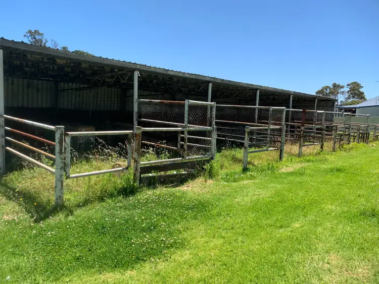 Fifth view of Homely house listing, 59 Ulster Road, Yakamia WA 6330
