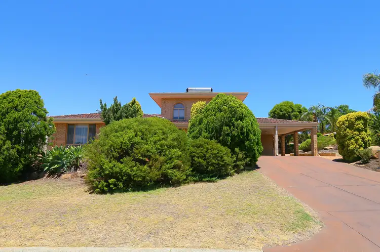 Main view of Homely house listing, 23 Reid Street, Kardinya WA 6163