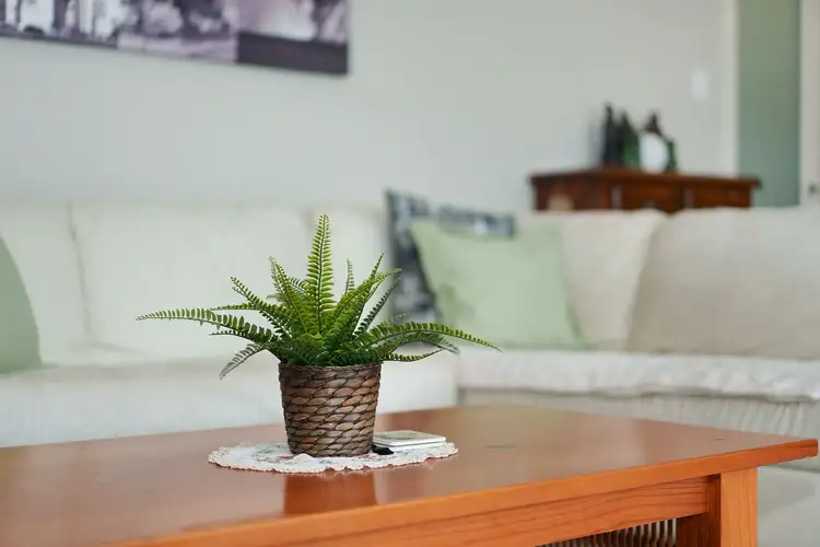Sixth view of Homely house listing, 33 Parkway Crescent, Murrumba Downs QLD 4503