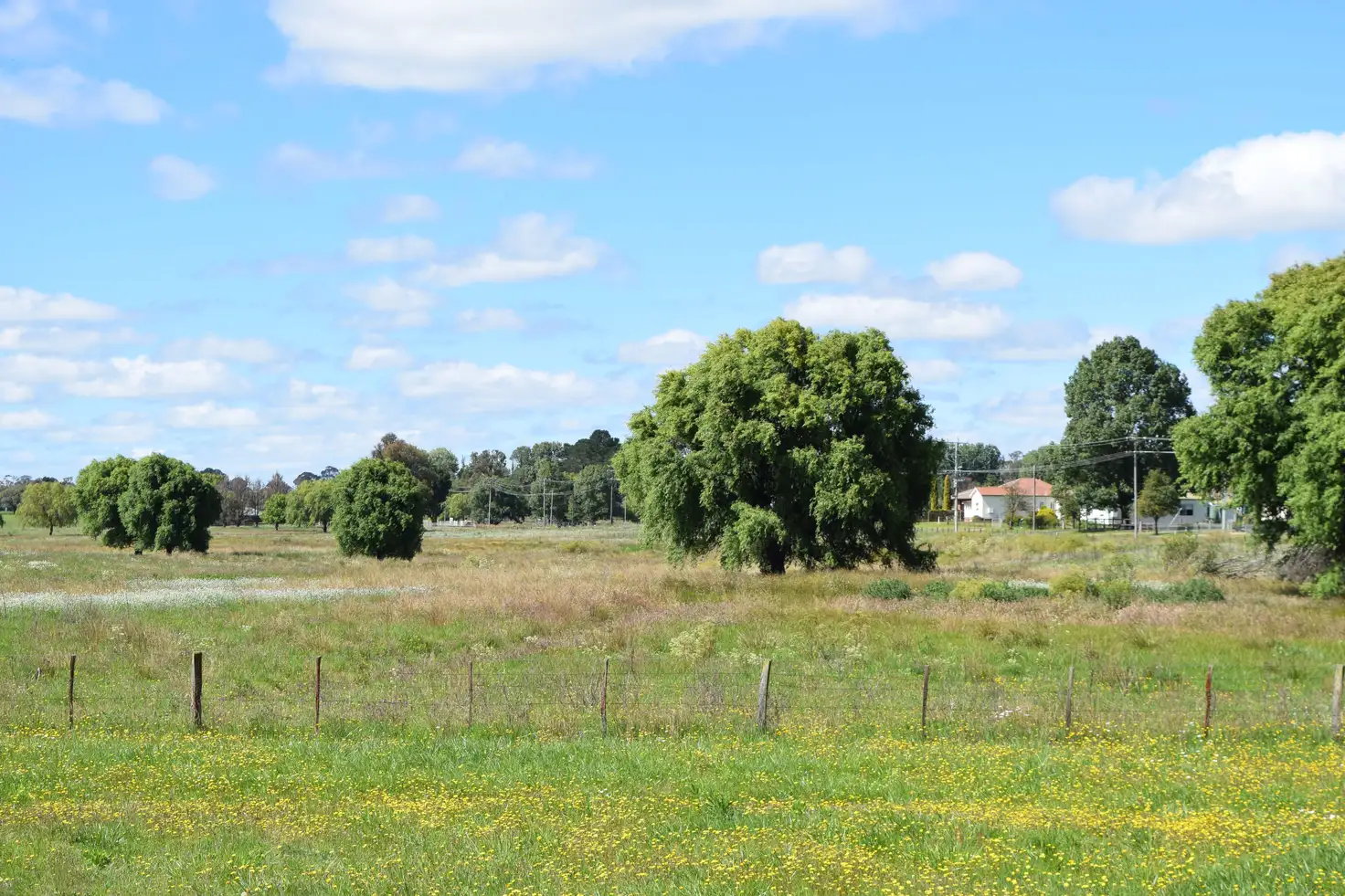 Main view of Homely land listing, 7 Oban Street, Guyra NSW 2365