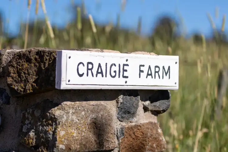 Fifth view of Homely rural property listing, 228 Old Gostwyck Road, Armidale NSW 2350