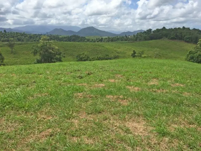 Main view of Homely land listing, Lot 2 0 Rainforest Falls Road, East Palmerston QLD 4860