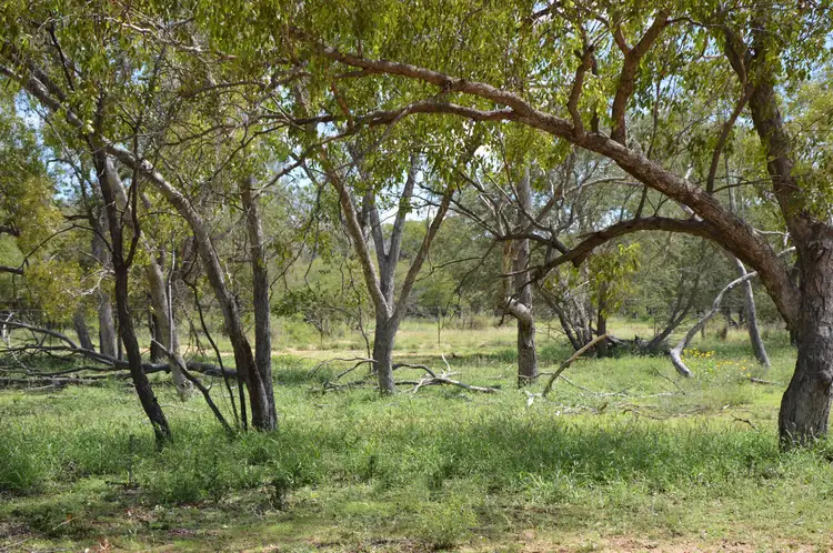 Seventh view of Homely house listing, 89 Sandalwood Drive, Barcaldine QLD 4725
