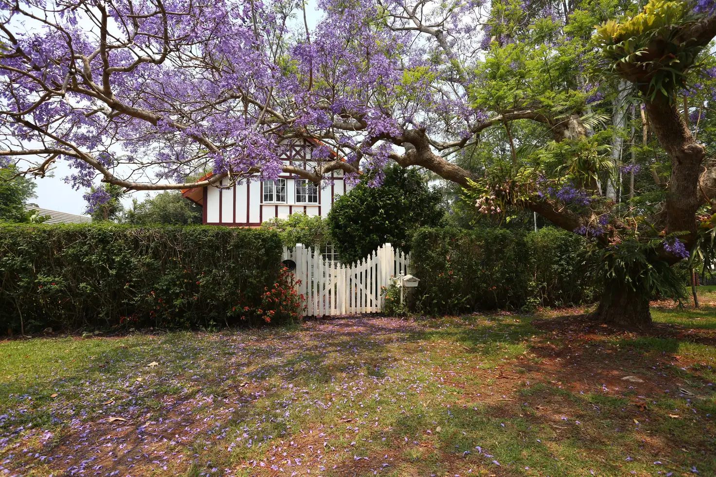 Main view of Homely house listing, 1 Cliff Way, Tamborine Mountain QLD 4272
