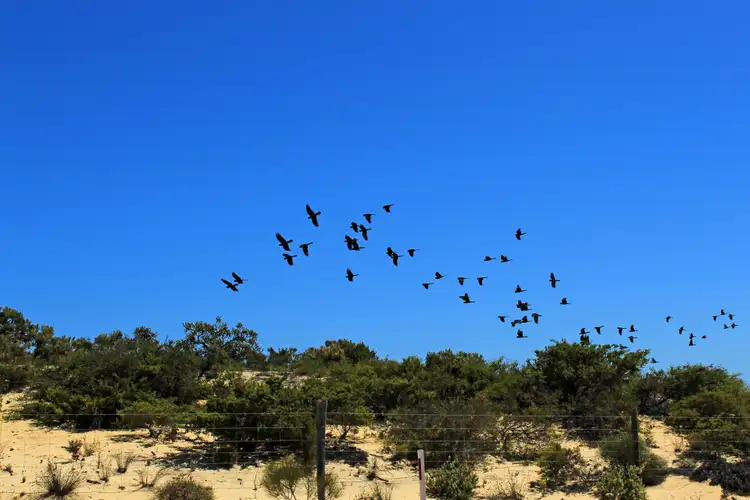 Fourth view of Homely land listing, LOT 203 Belinda Loop, Jurien Bay WA 6516