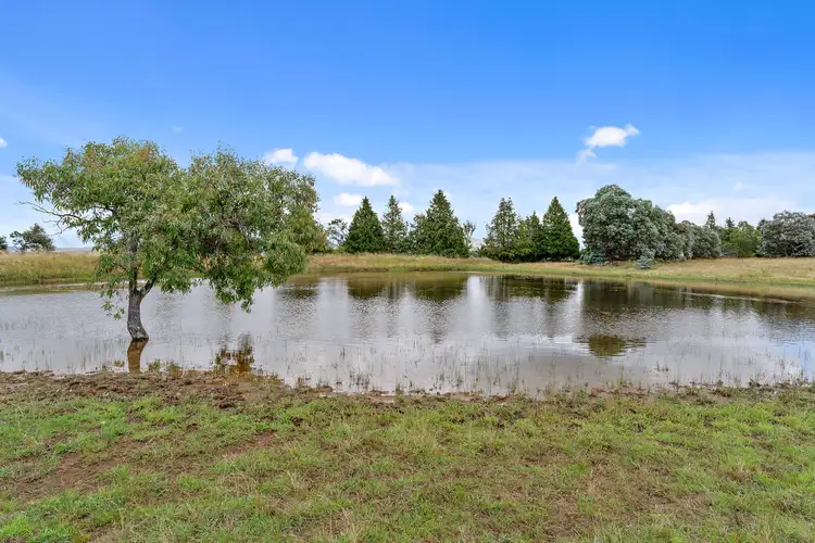 Seventh view of Homely land listing, 139 Gooromon Ponds Road, Wallaroo NSW 2618