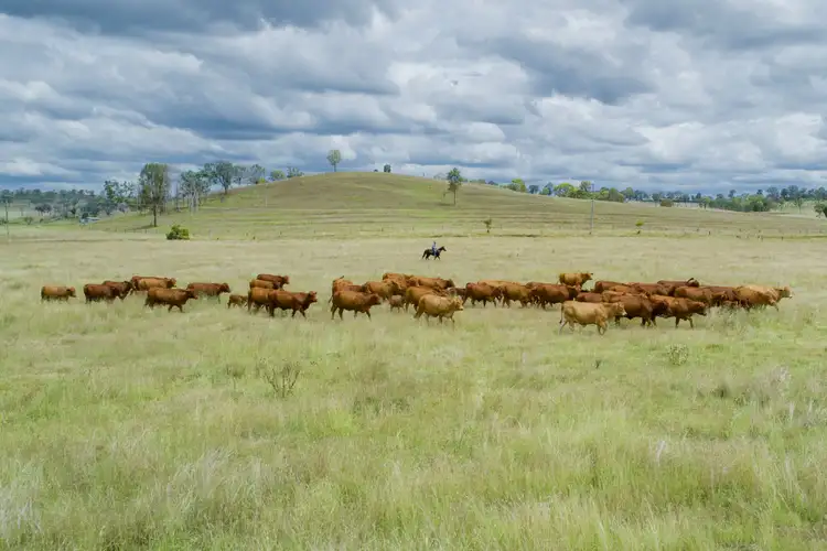 Sixth view of Homely rural property listing, Barambah Dale Barambah Road, Moffatdale, Murgon QLD 4605