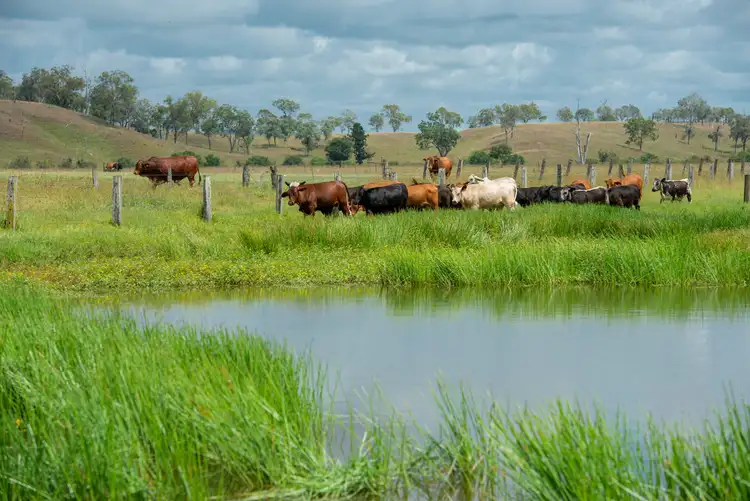 Seventh view of Homely rural property listing, Barambah Dale Barambah Road, Moffatdale, Murgon QLD 4605