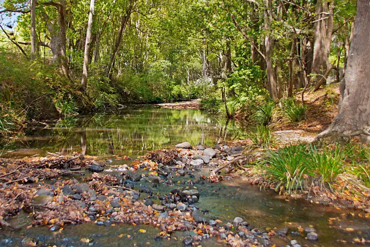 Third view of Homely rural property listing, Address available on request