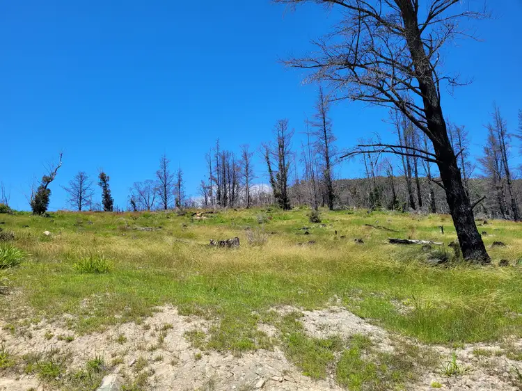 Third view of Homely rural property listing, 245 Rose Valley Road, Charleys Forest, Braidwood NSW 2622