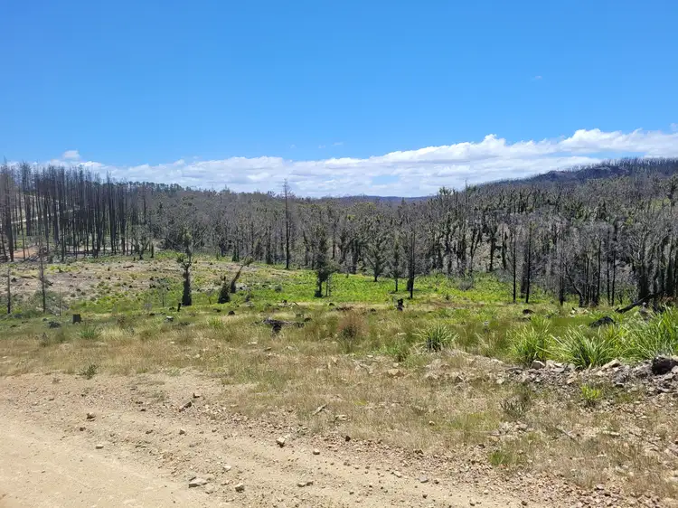 Fourth view of Homely rural property listing, 245 Rose Valley Road, Charleys Forest, Braidwood NSW 2622